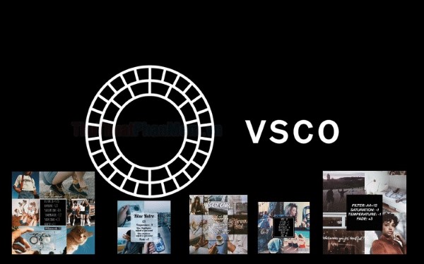 Ứng dụng VSCO được tích hợp nhiều công cụ hỗ trợ chỉnh sửa hình ảnh.