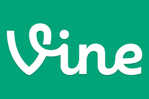 Vine