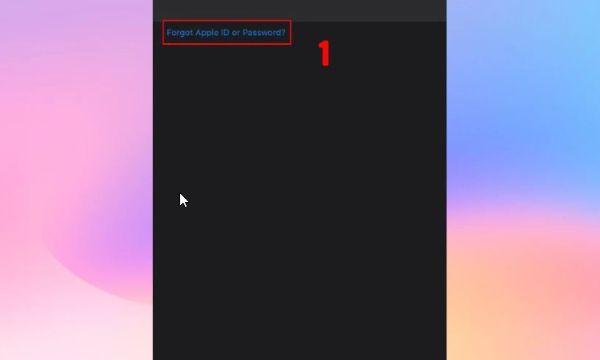 Chọn Quên Apple ID hoặc Mật khẩu